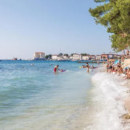 Amazing In With Kitchen