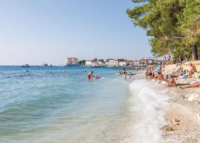 Amazing In With Kitchen